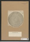 Coscinodiscus radiatus Ehr. (de-Toni-Nr.: Genus 202, Species 4972) Zeichnungen Sammlung Grunow Nr. 8572 (NHMW-BOT-W0378220)